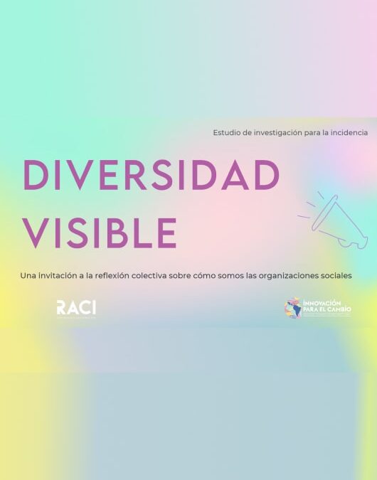 Diversidad Visible. Una invitación a la reflexión colectiva sobre cómo somos las Organizaciones Sociales